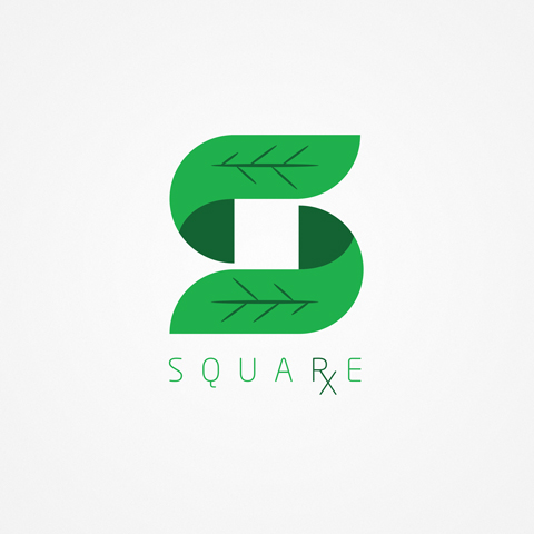 Square RX Paleo Nutrtient Bar Package & Logo